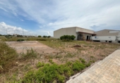 Terreno no urbanizable en venta en Moncofa ref: TR234086 foto