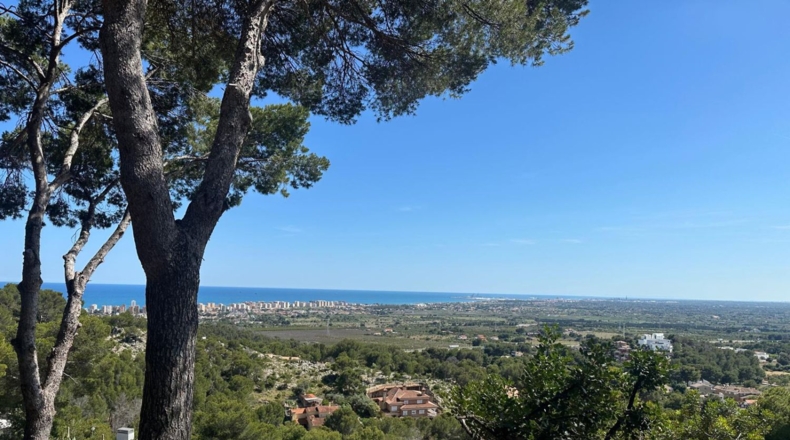 Castellón - Benicasim - 6000m2
