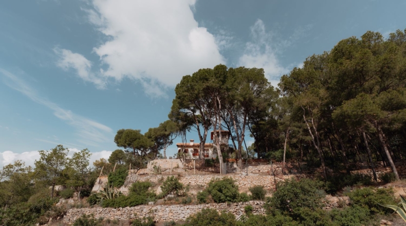 Castellón - Benicasim - 6000m2