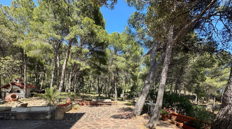 Castellón - Benicasim - 6000m2