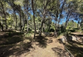 Finca rústica en venda a Benicàssim ref.: TR235304 foto