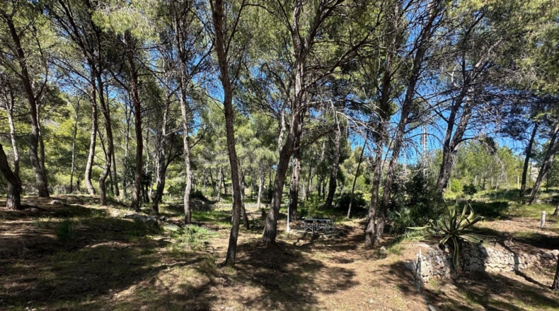 Castellón - Benicasim - 6000m2