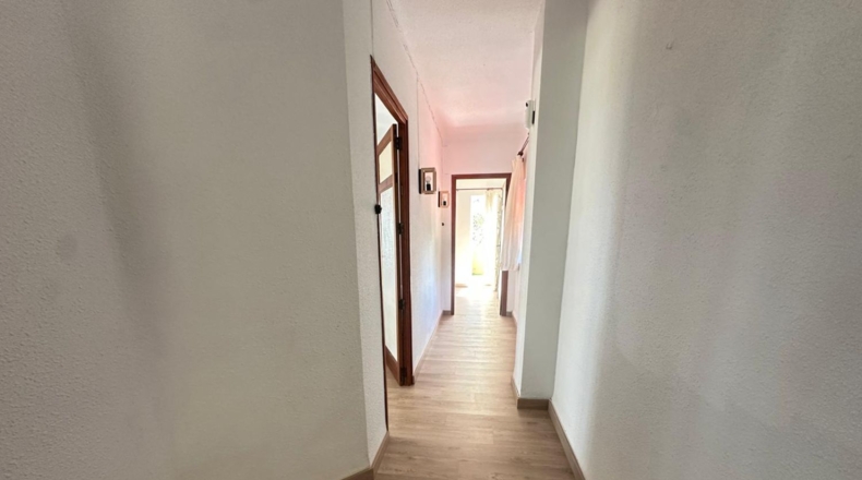 Castellón - Benicasim - 6000m2