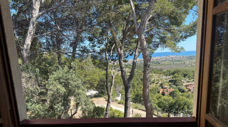 Castellón - Benicasim - 6000m2