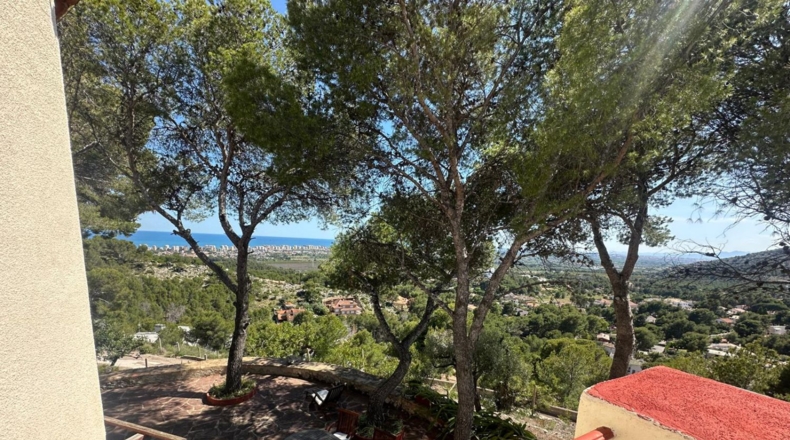 Castellón - Benicasim - 6000m2