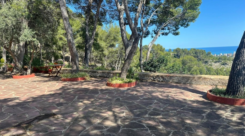 Castellón - Benicasim - 6000m2
