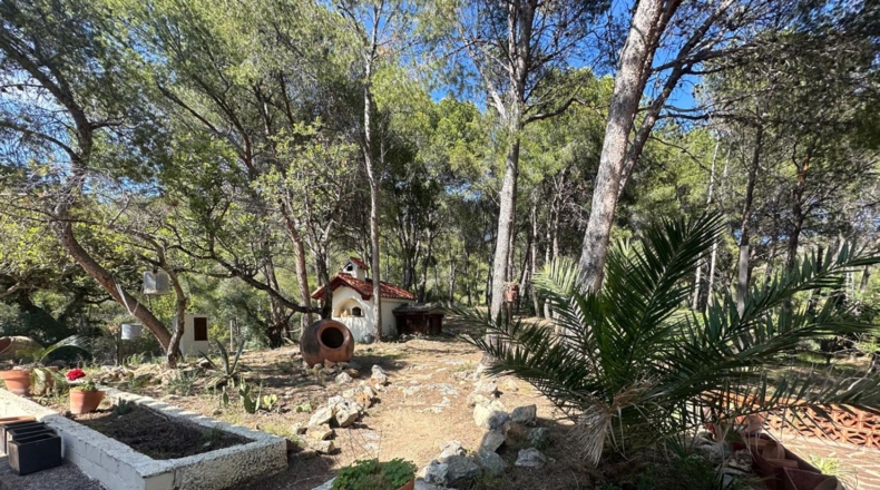 Castellón - Benicasim - 6000m2
