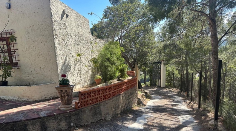 Castellón - Benicasim - 6000m2