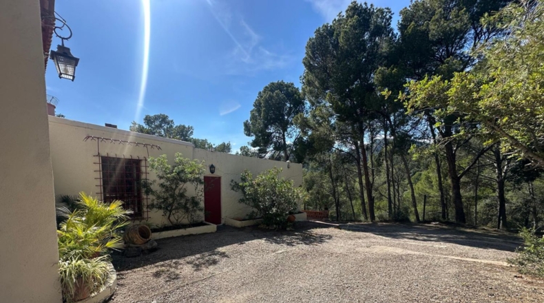Castellón - Benicasim - 6000m2