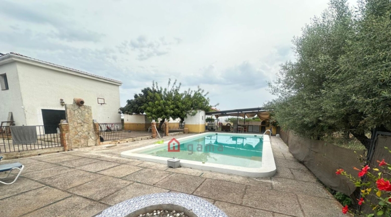Castellon - Castellón de la Plana - 3000m2