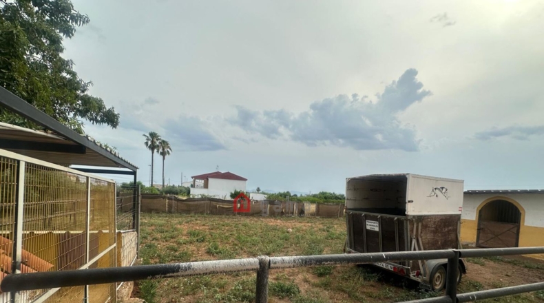 Castellon - Castellón de la Plana - 3000m2