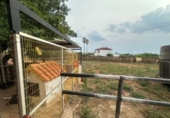Xalet independent amb terreny en venda a Castelló de la Plana ref.: TR261520 foto