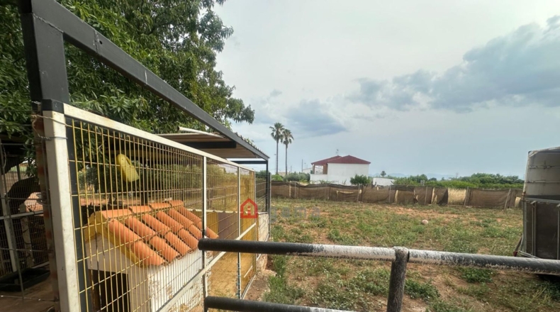 Castellon - Castellón de la Plana - 3000m2