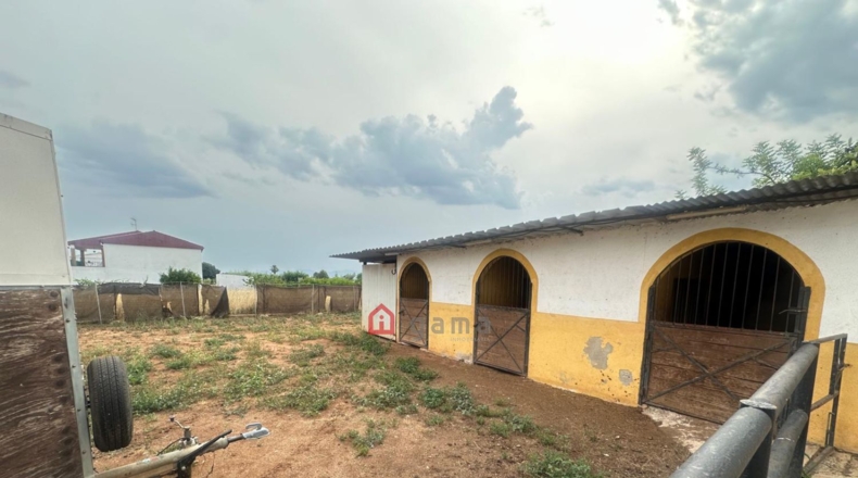 Castellon - Castellón de la Plana - 3000m2