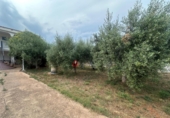 Xalet independent amb terreny en venda a Castelló de la Plana ref.: TR261520 foto
