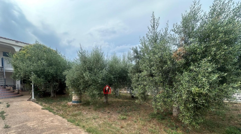 Castellon - Castellón de la Plana - 3000m2