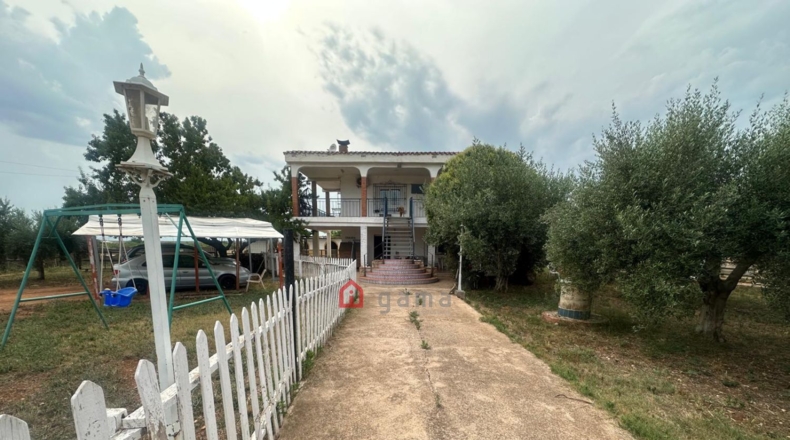 Castellon - Castellón de la Plana - 3000m2