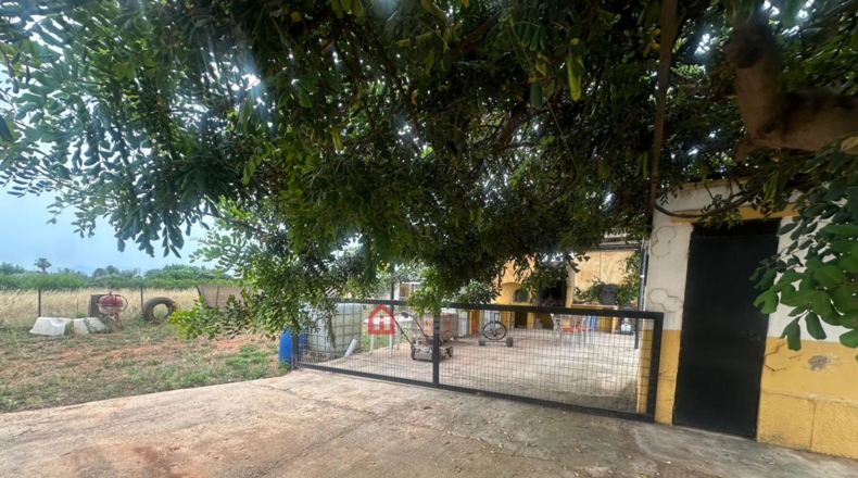 Castellon - Castellón de la Plana - 3000m2