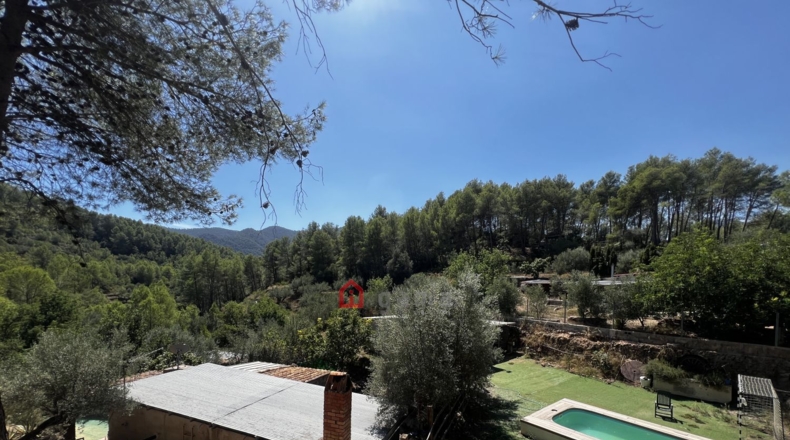 Castellon - Artana - 11316m2