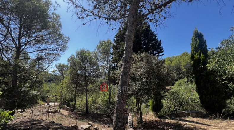 Castellon - Artana - 11316m2