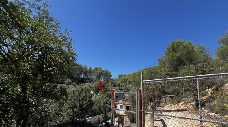 Castellon - Artana - 11316m2