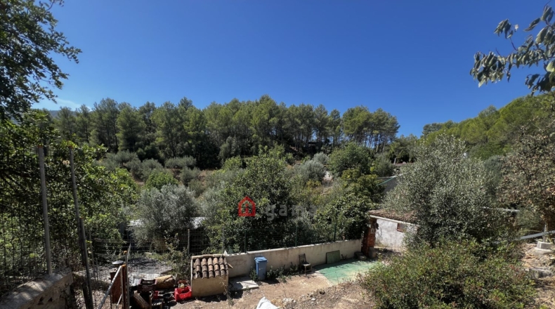 Castellon - Artana - 11316m2