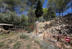 Foto 10
