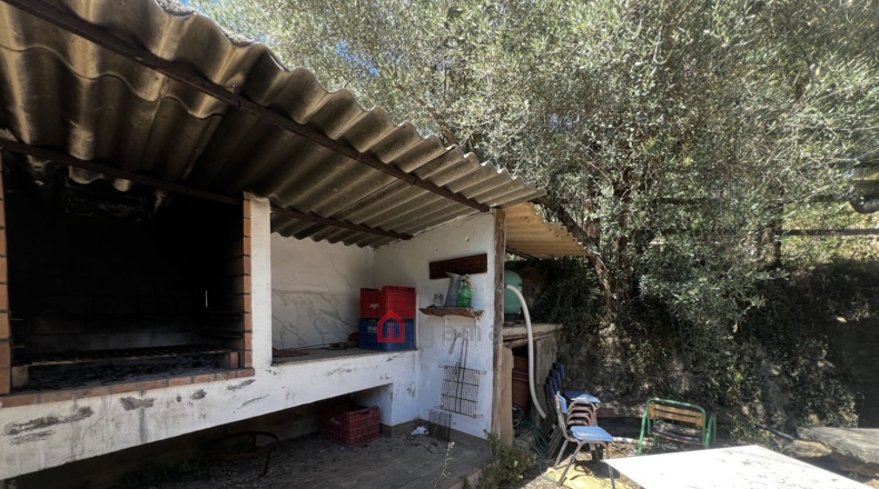 Castellon - Artana - 11316m2