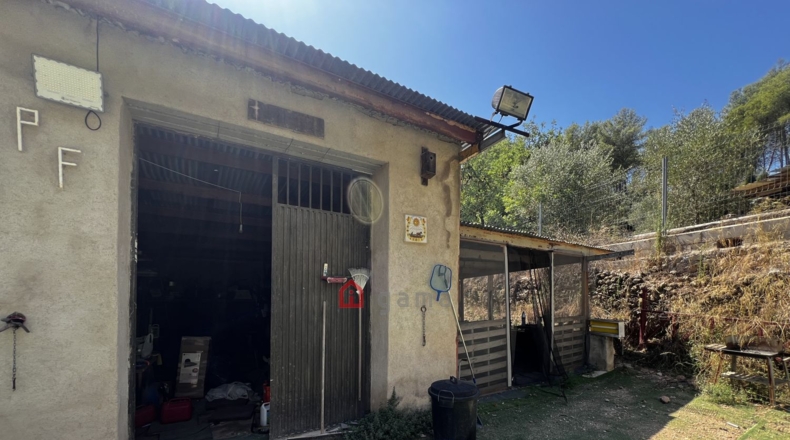 Castellon - Artana - 11316m2
