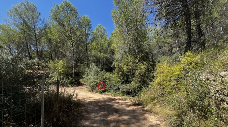 Castellon - Artana - 11316m2