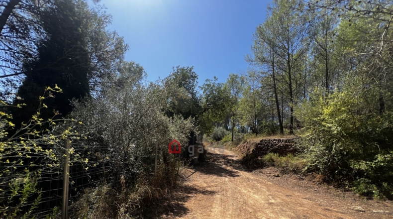 Castellon - Artana - 11316m2