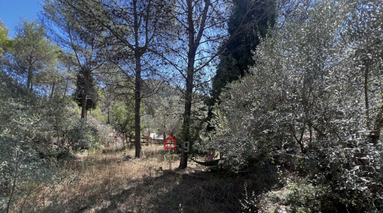 Castellon - Artana - 11316m2