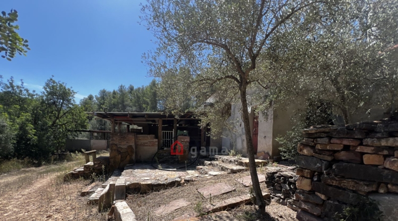 Castellon - Artana - 11316m2