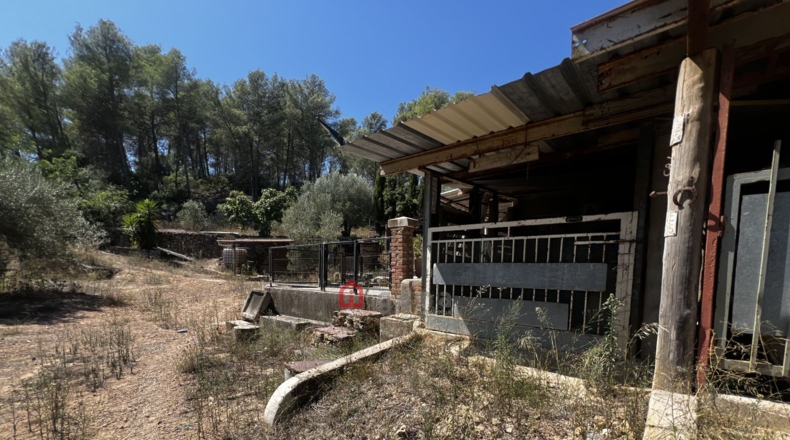 Castellon - Artana - 11316m2
