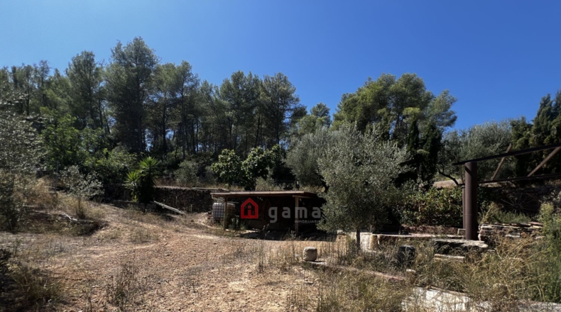 Castellon - Artana - 11316m2