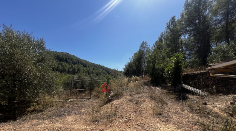 Castellon - Artana - 11316m2