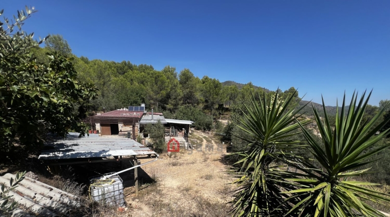 Castellon - Artana - 11316m2