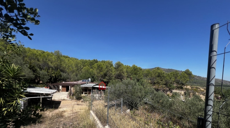 Castellon - Artana - 11316m2