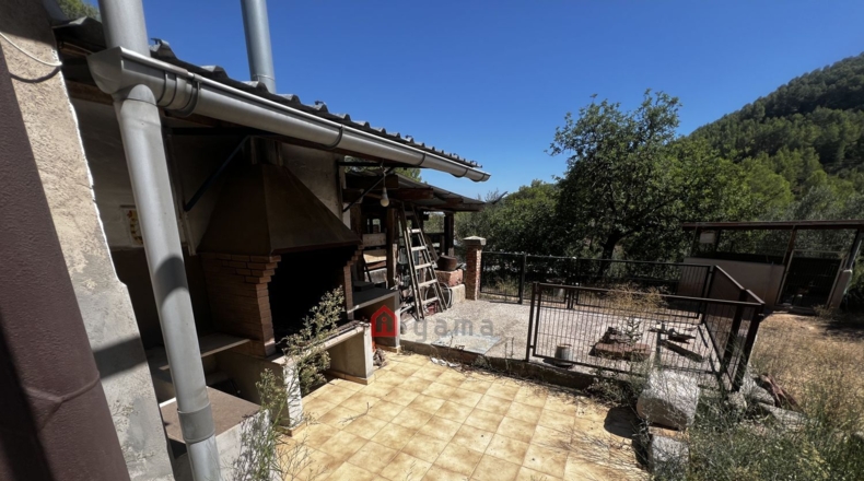 Castellon - Artana - 11316m2
