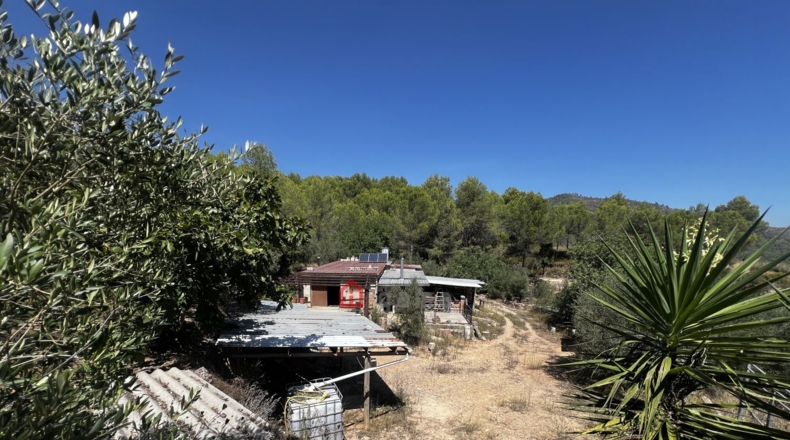 Castellon - Artana - 11316m2