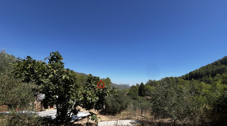 Castellon - Artana - 11316m2