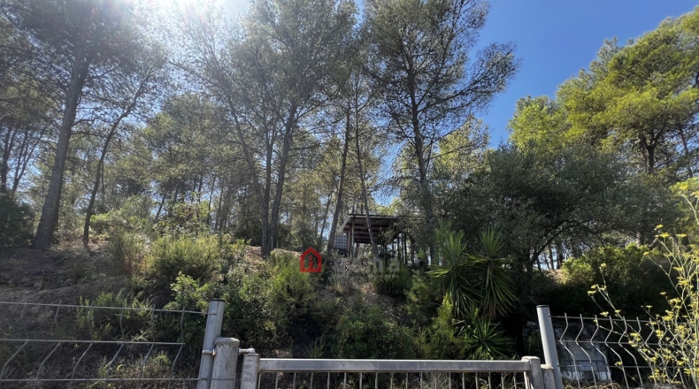 Castellon - Artana - 11316m2
