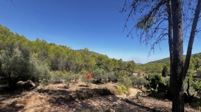 Castellon - Artana - 11316m2