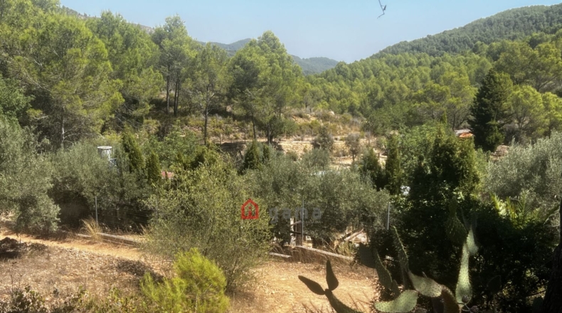 Castellon - Artana - 11316m2