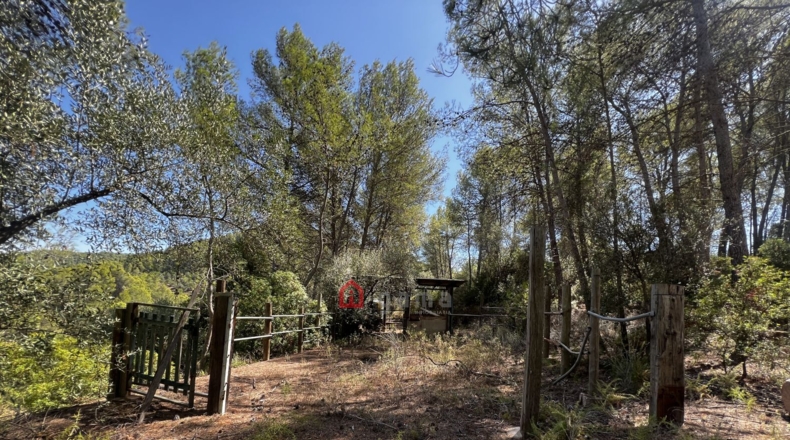 Castellon - Artana - 11316m2