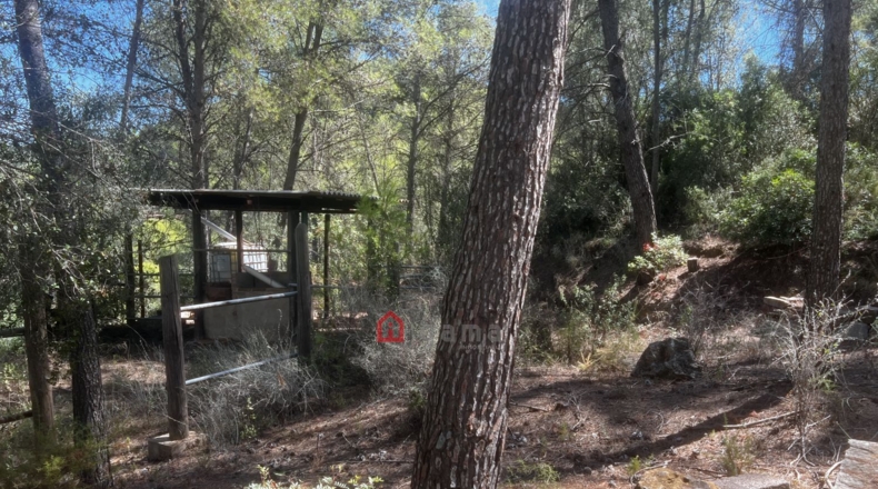 Castellon - Artana - 11316m2