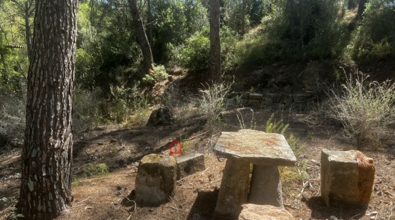 Castellon - Artana - 11316m2