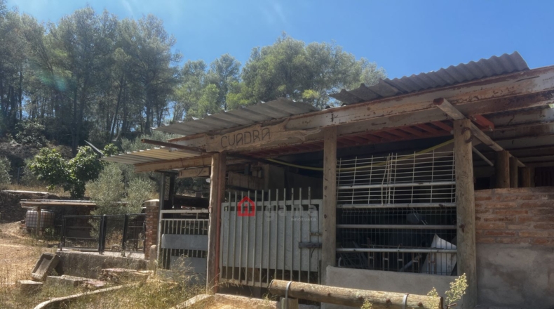 Castellon - Artana - 11316m2