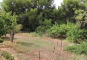 Xalet independent amb terreny en venda a Benicàssim ref.: TR340997 foto