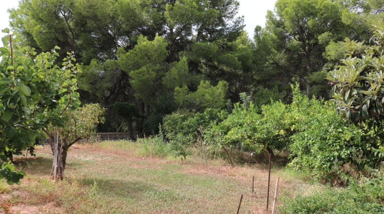 Castellon - Benicasim - 3707m2